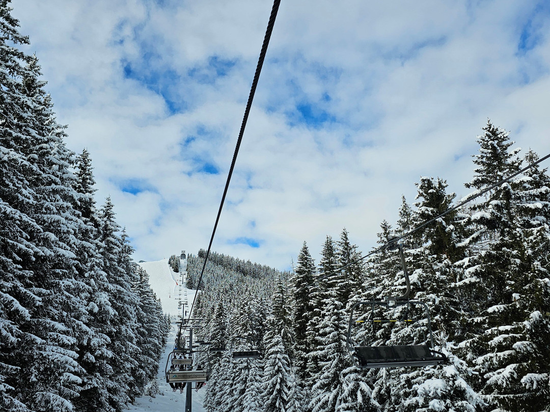 Skischool Zell am See-采尔湖畔必去景点