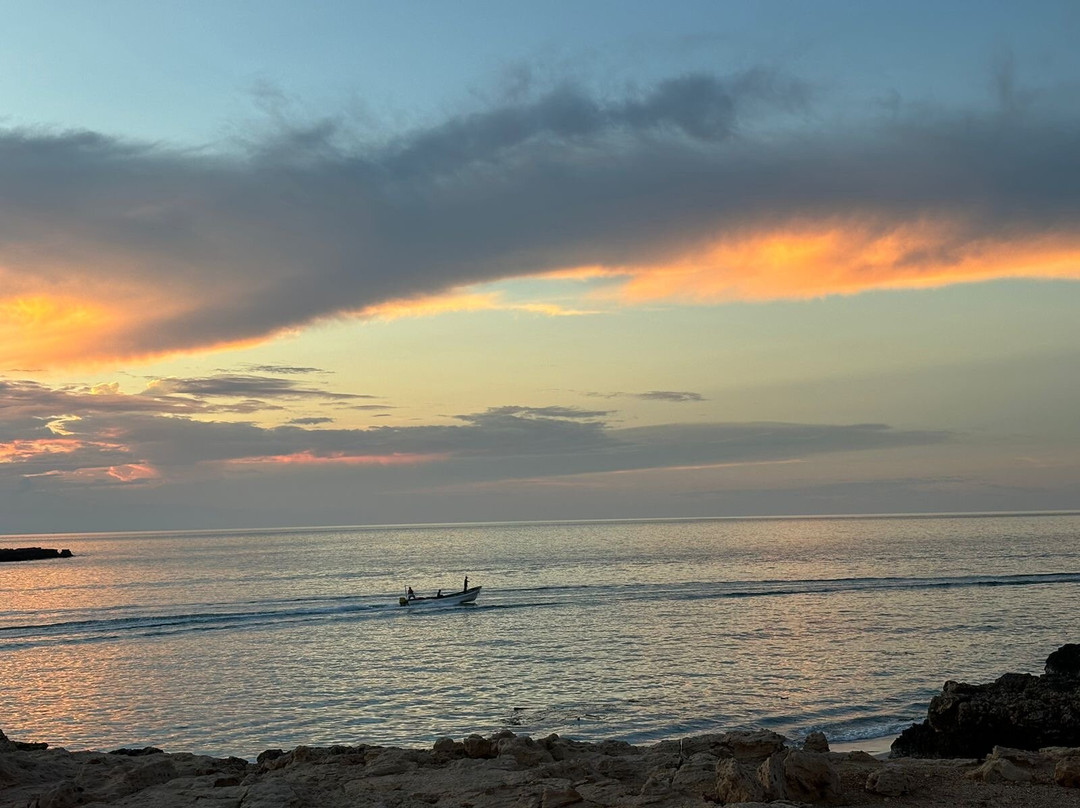 Turtle Beach Resort主图