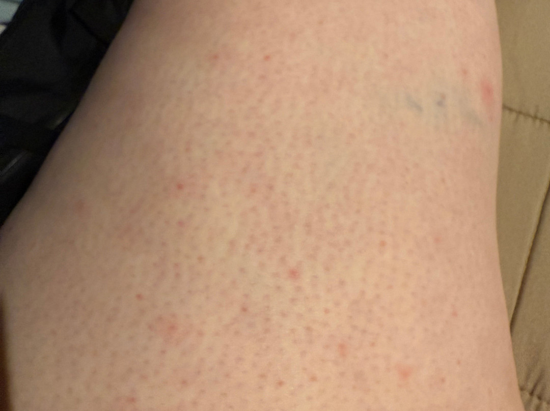 帆板度假村主图