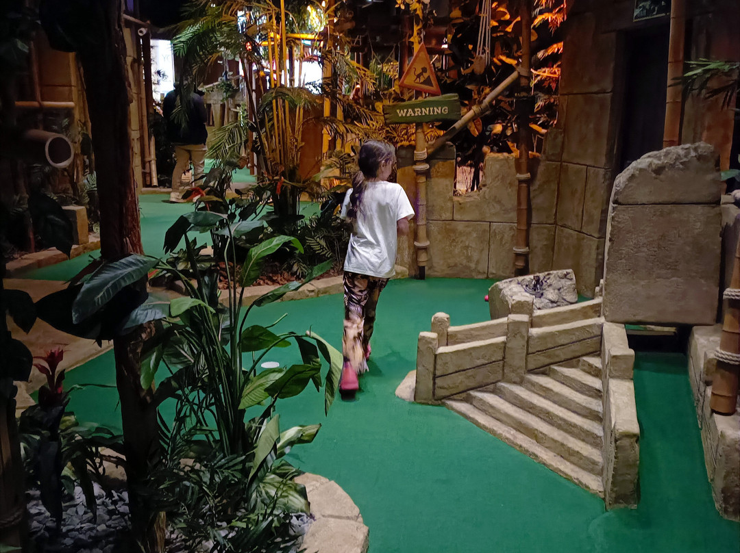 Treetop Golf Birmingham景点图片