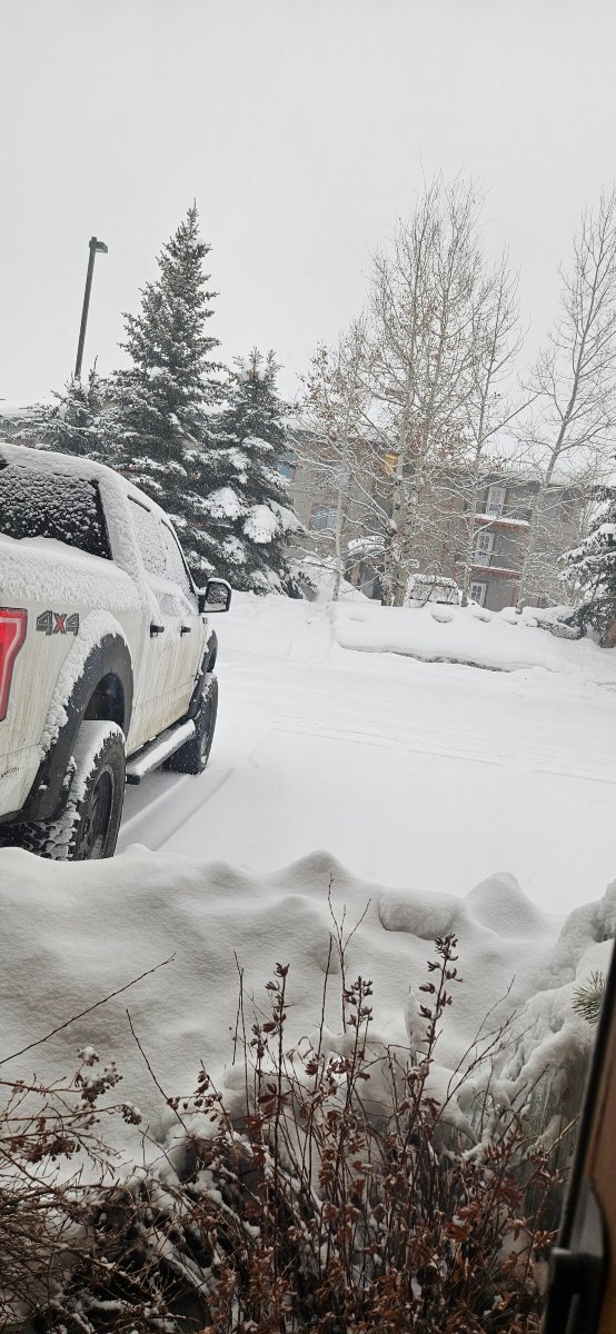 Holiday Inn 斯廷博特斯普林斯-酒店景观