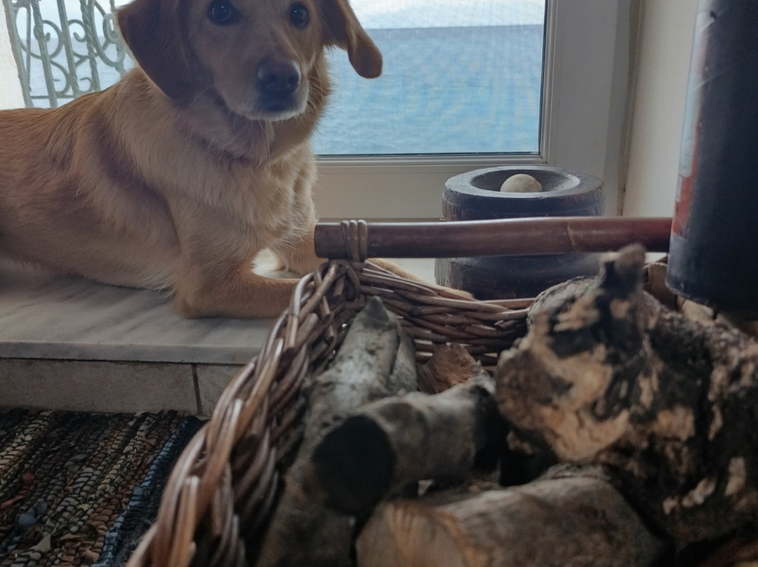 Meliti Guesthouse主图