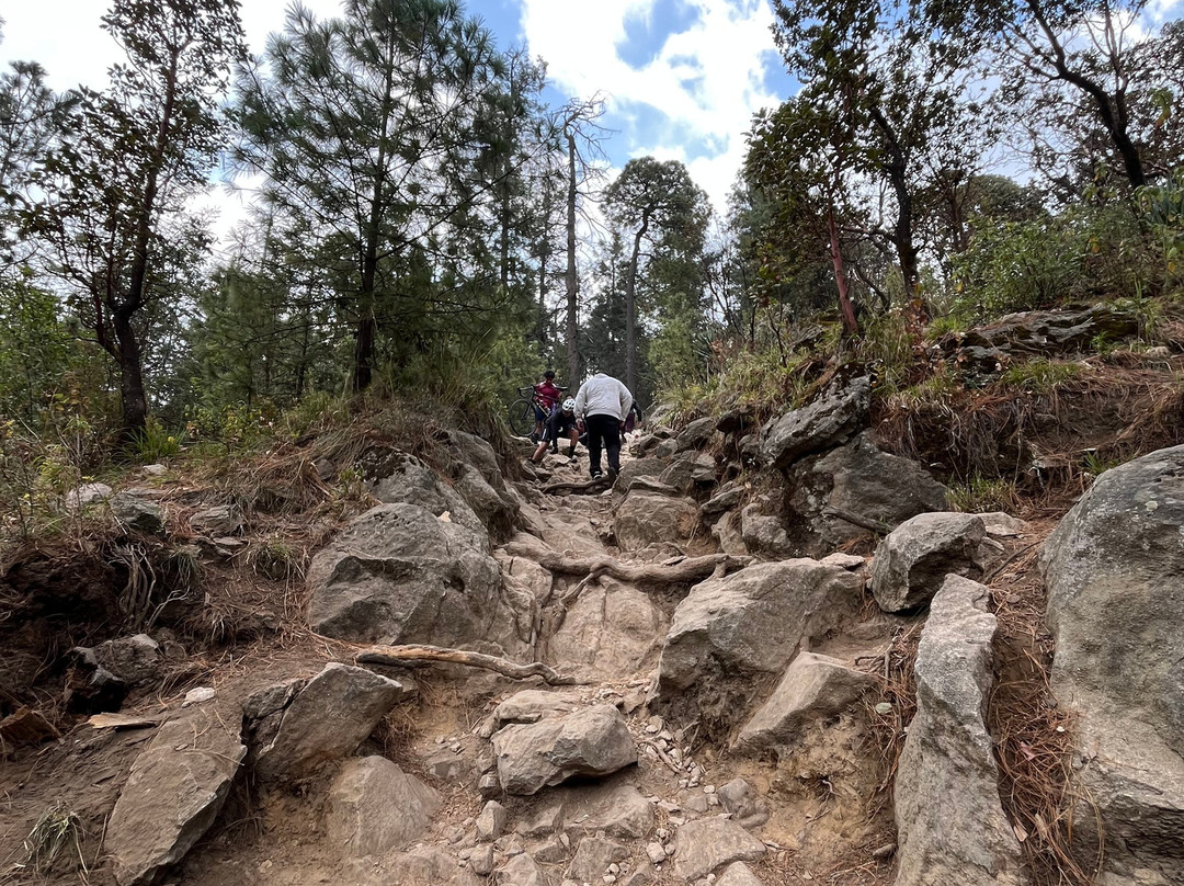 Los Dinamos-墨西哥城必去景点