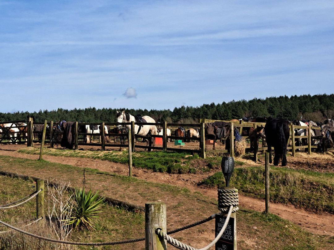 Cannock Chase Trekking Centre景点图片