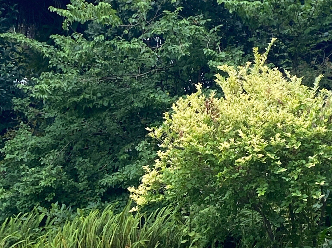 Aquaelberg Place主图