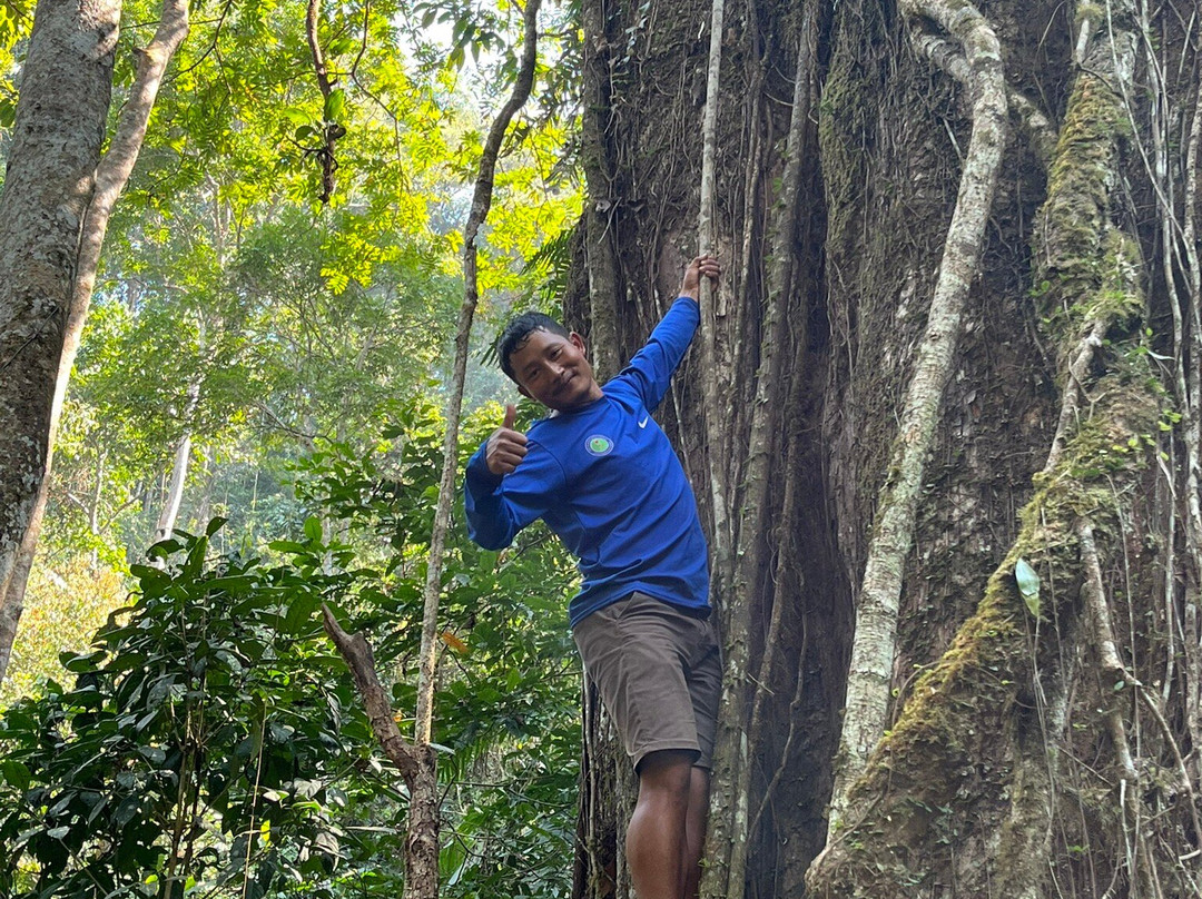 Into the Wild Laos-琅南塔必去景点
