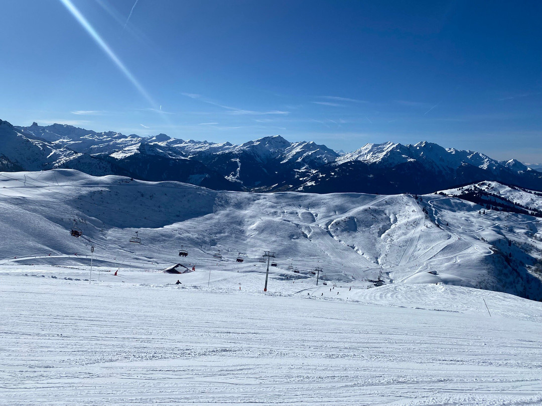 Espace Diamant-Praz Sur Arly必去景点