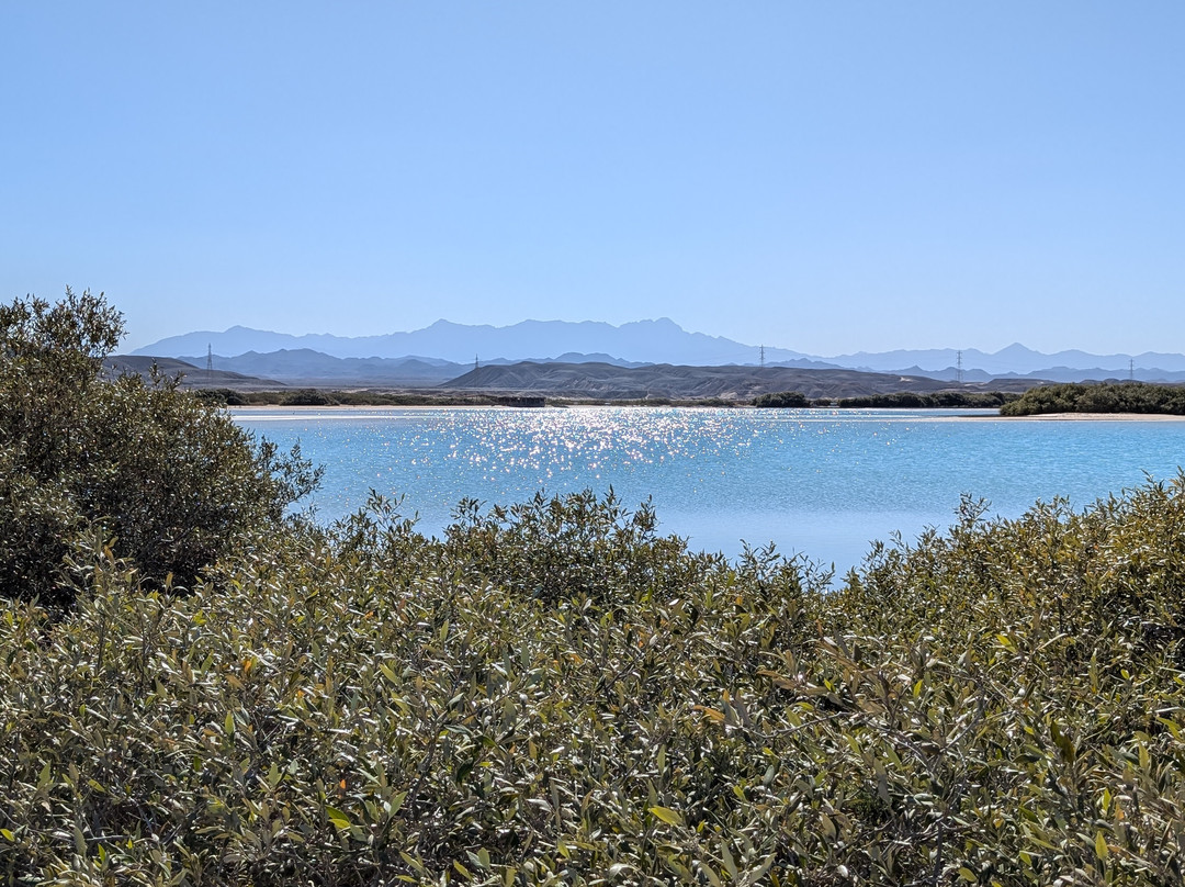 Wadi El Gemal National Park-马萨阿拉姆必去景点
