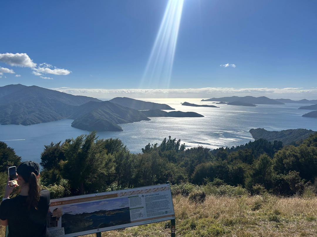Wilderness Guides - Day Tours-皮克顿必去景点