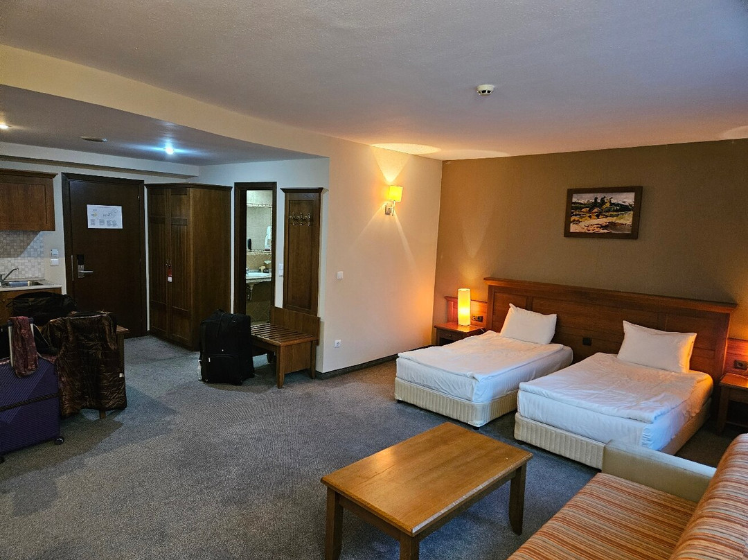 Lion Hotel Bansko主图
