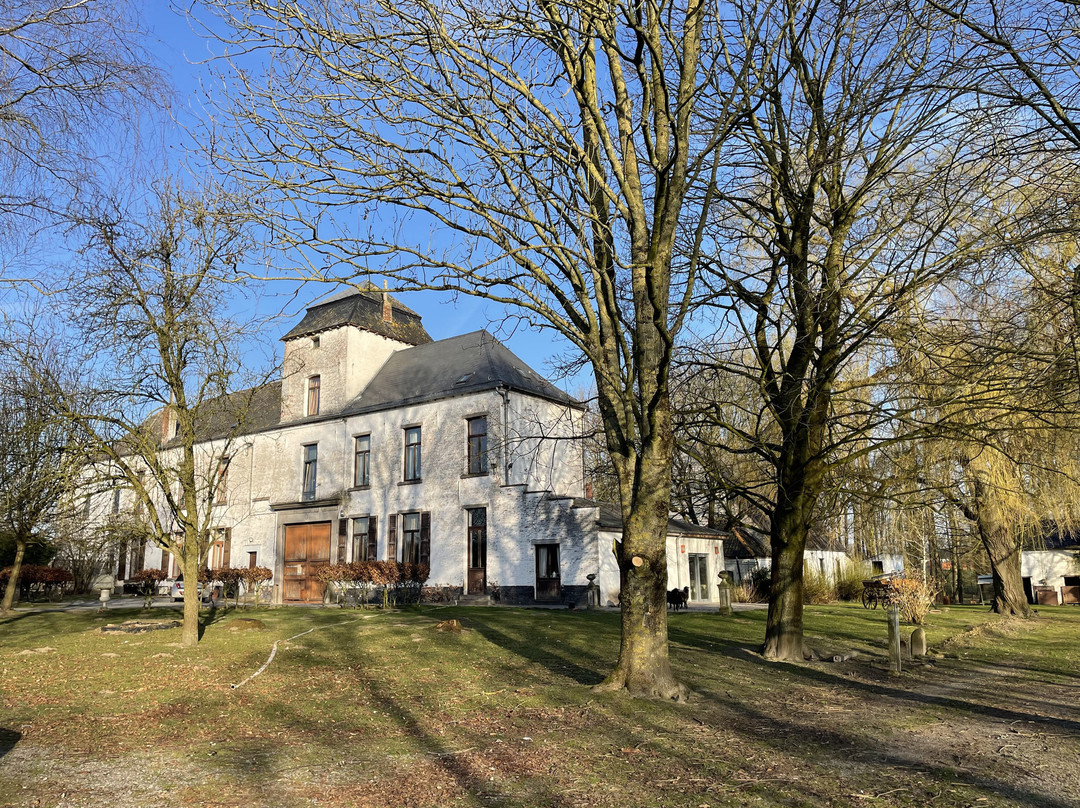 Le Domaine du Château Blanc à 10 Minutes de Pairi Daiza