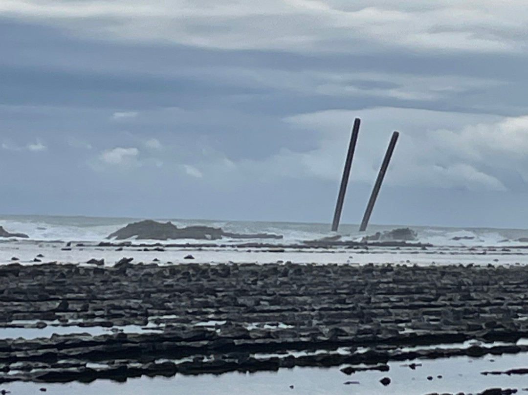 Aoshima Cinqmale主图