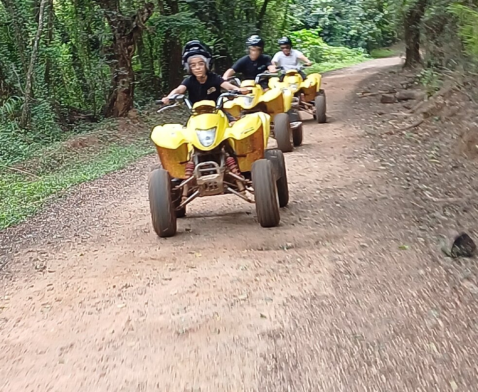 Induna Adventures Day Tours-雾观必去景点