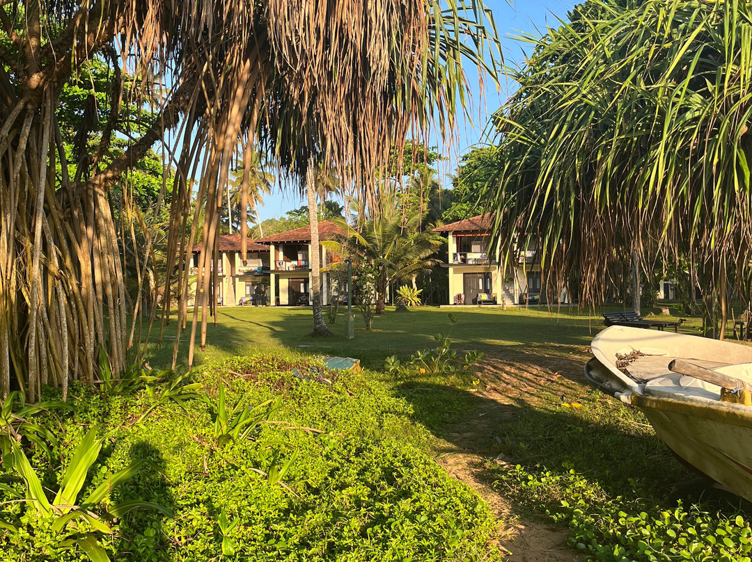 Sawa Travels Sri Lanka-科斯戈德必去景点