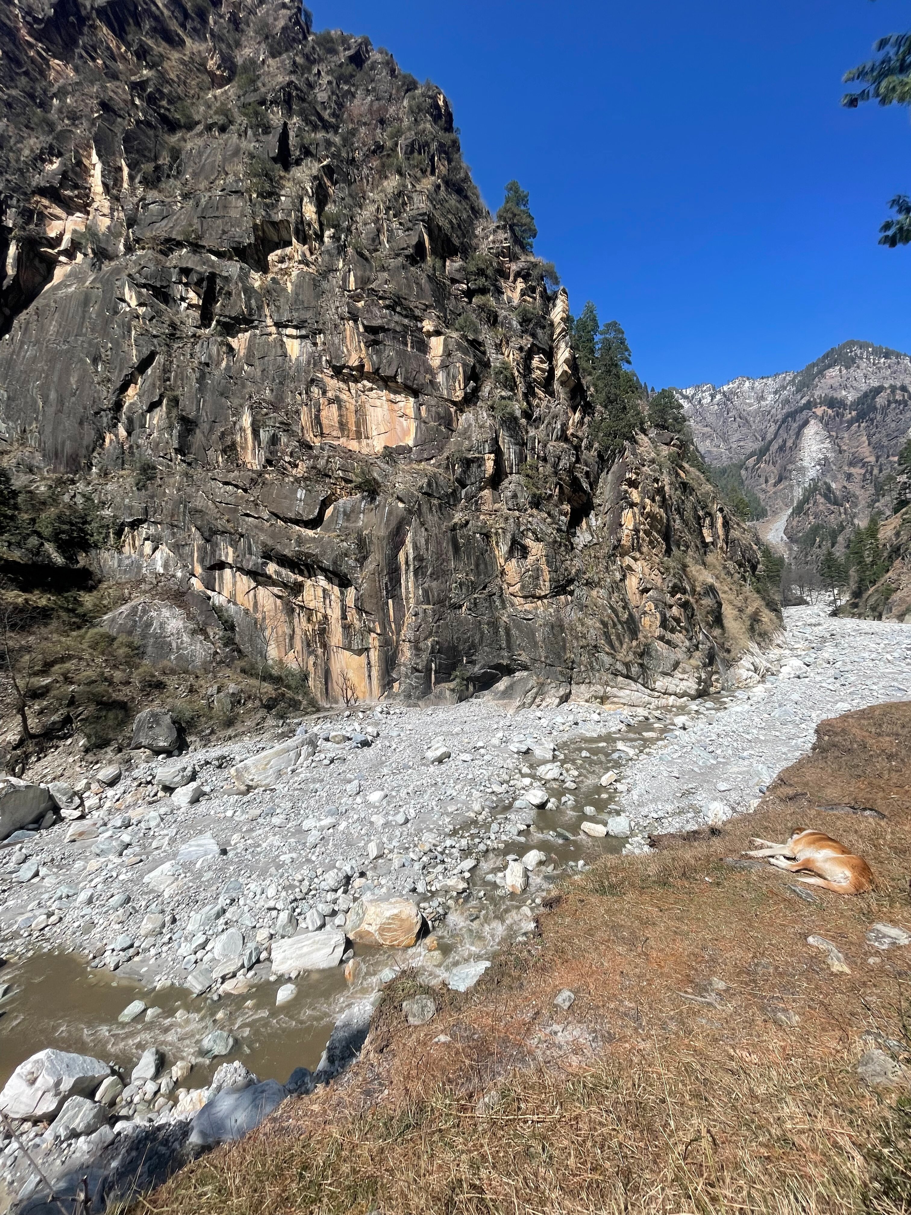 Negi Nest Kasol-官方