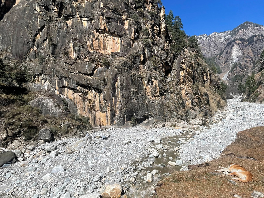 Negi Nest Kasol主图