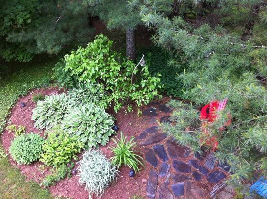 Tulips and Thistle Bed & Breakfast主图