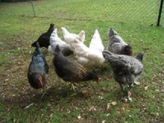 Silverwood Lodge Guest House主图