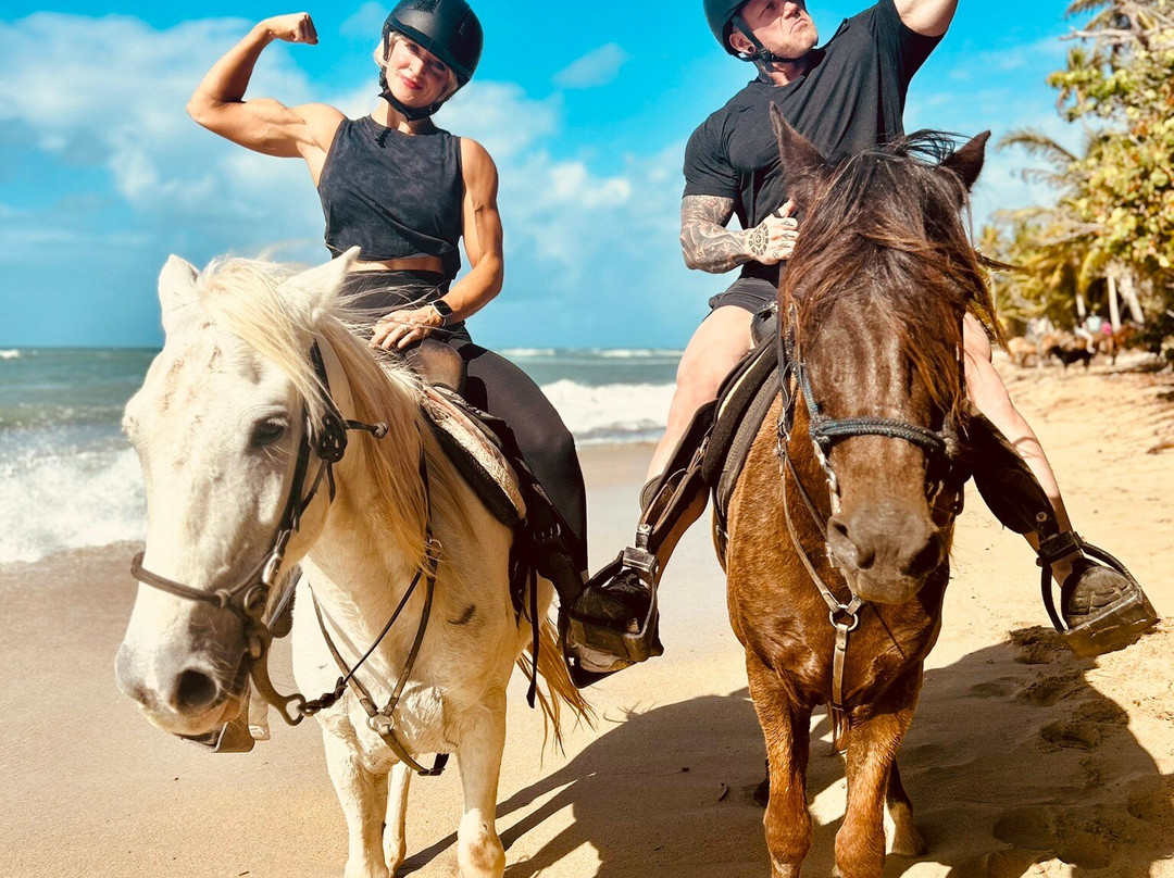Esperanza Riding Company景点图片