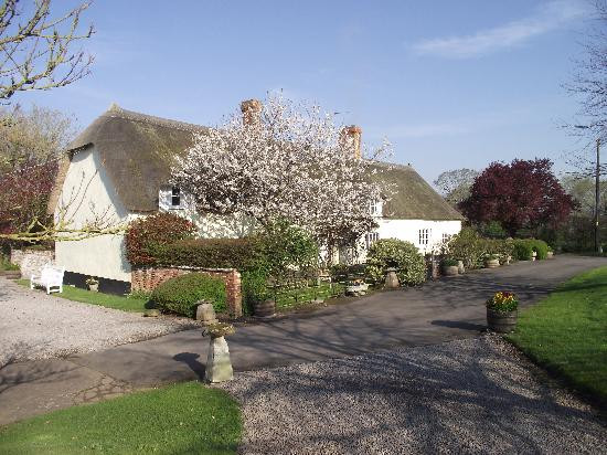 Lower Farm Bed and Breakfast主图