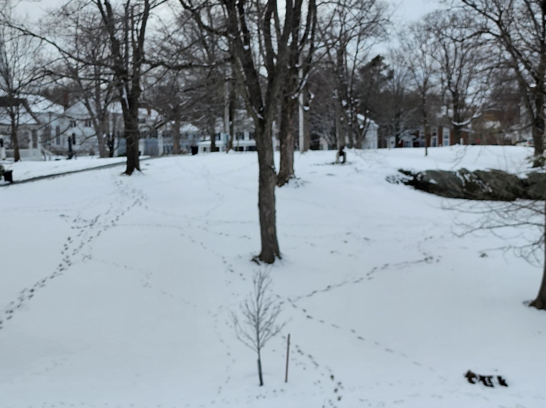 Hampton Inn Bath (brunswick Area), Me主图