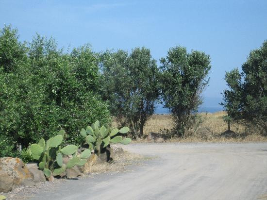 Agriturismo Sa Roia Traversa主图