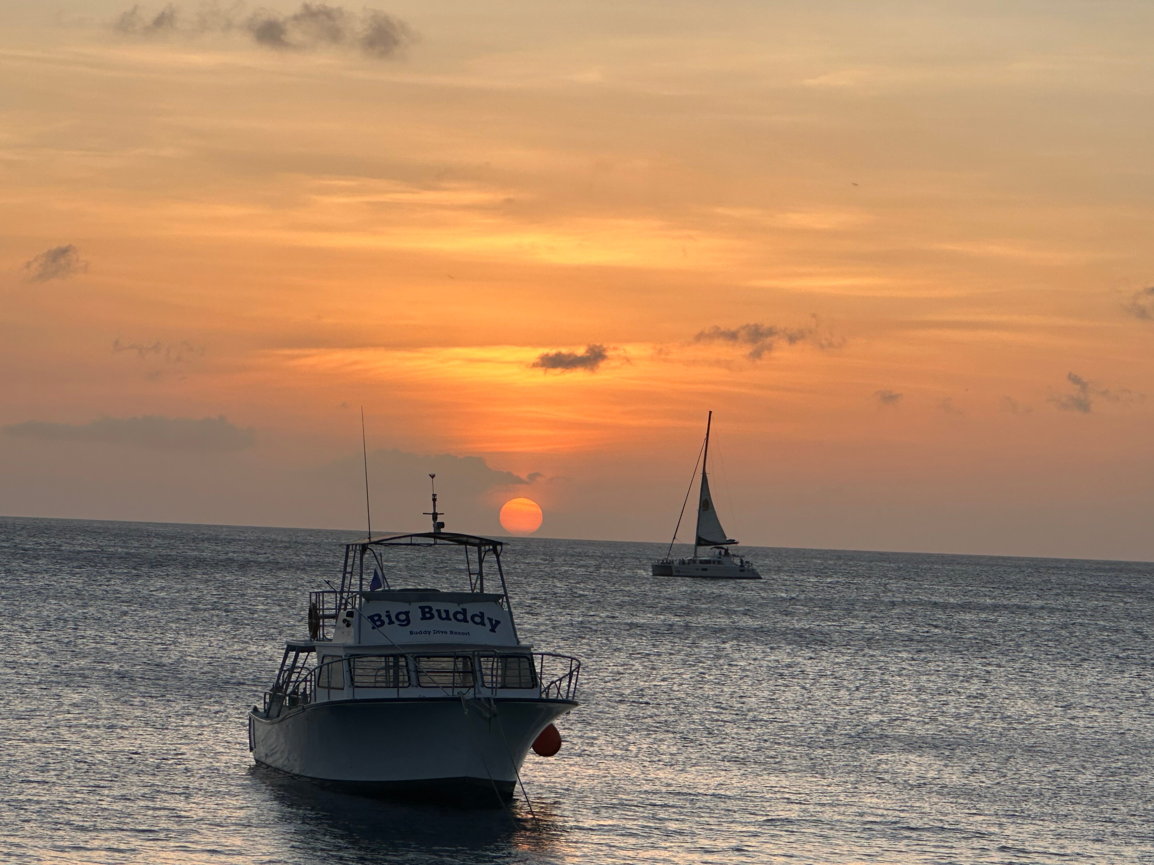 Buddy Dive Resort-官方