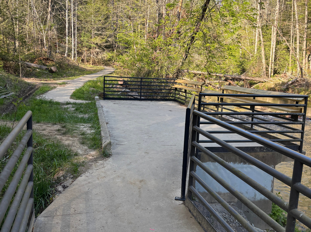 Dug Mountain Angler Access Area