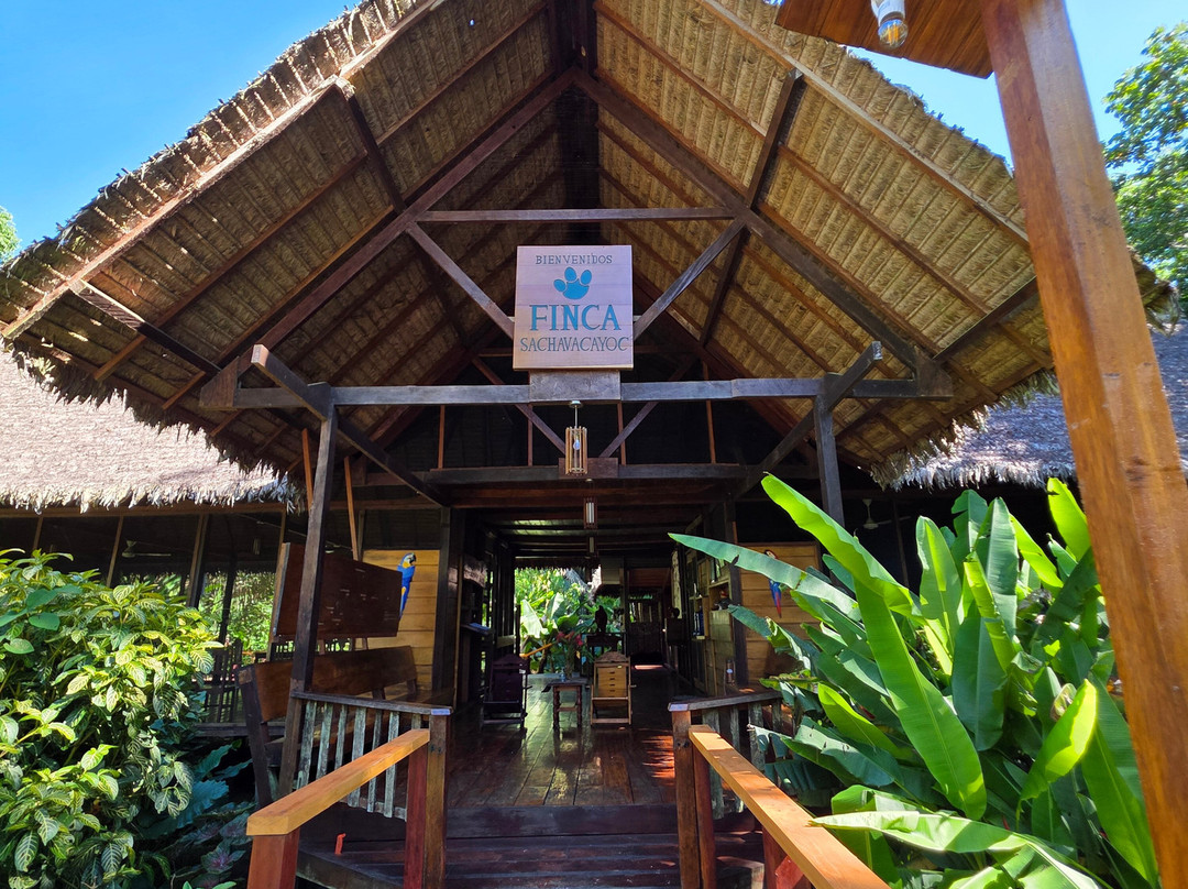 JunglePro-马尔多纳多港必去景点