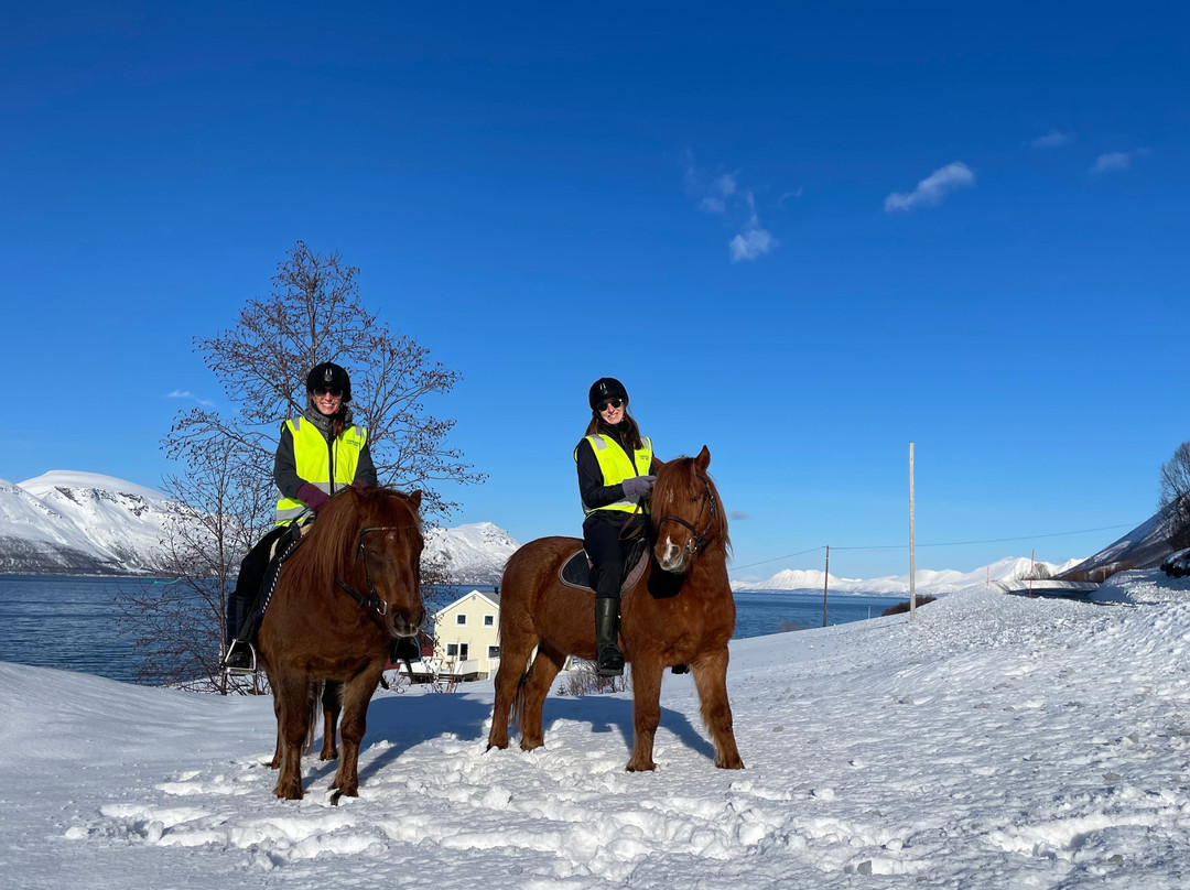 Tromsø Lyngshest景点图片