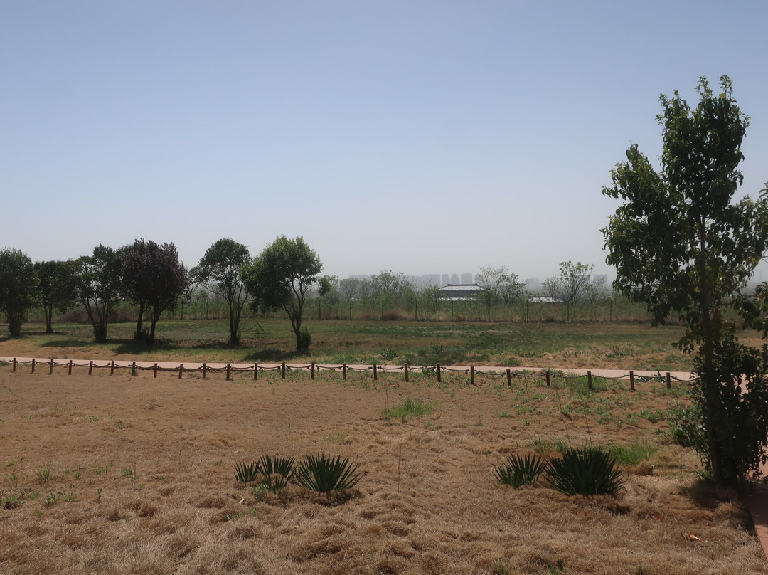 秦咸阳宫遗址博物馆-咸阳市必去景点