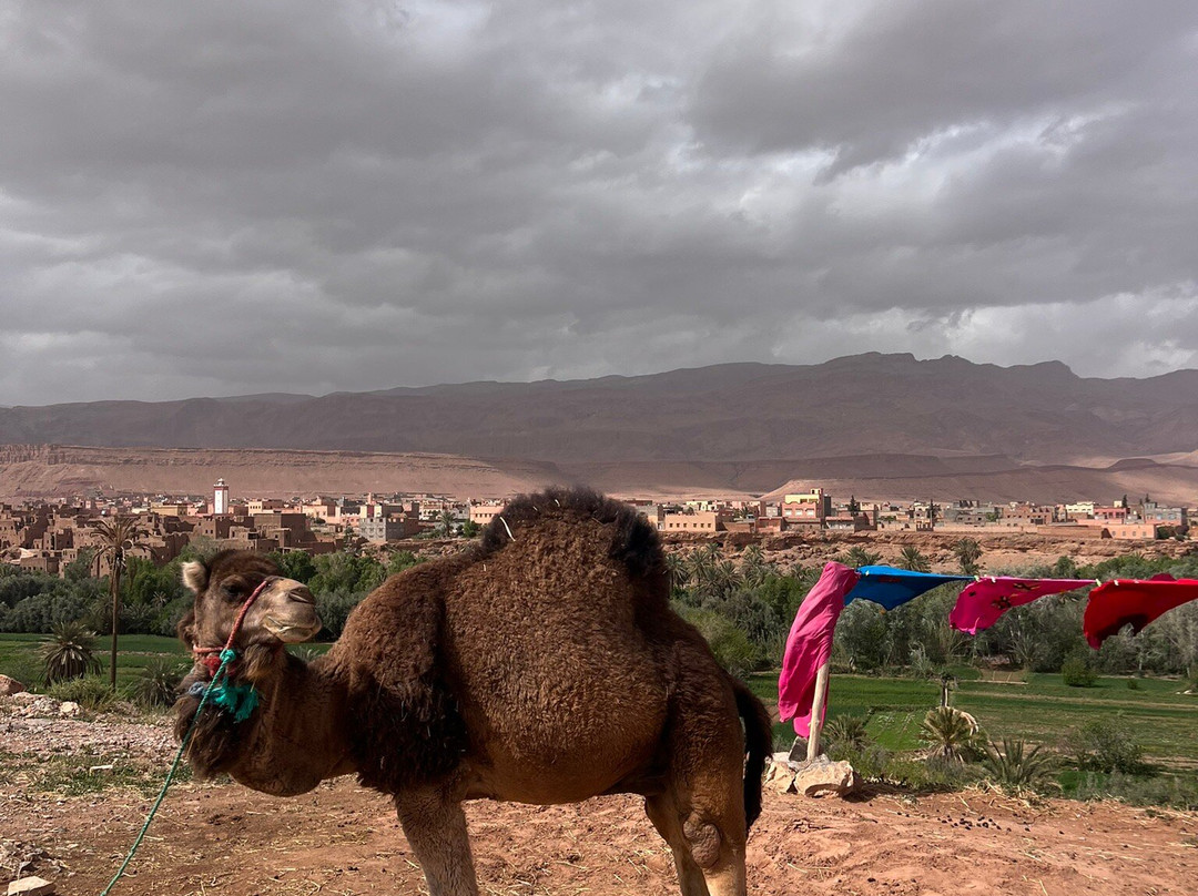 Morocco Culture Tours-马拉喀什必去景点