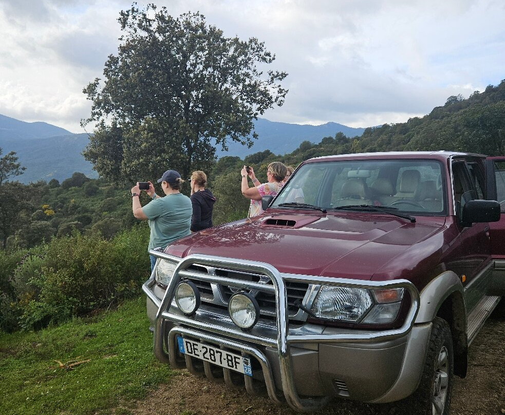 Coggia 4x4