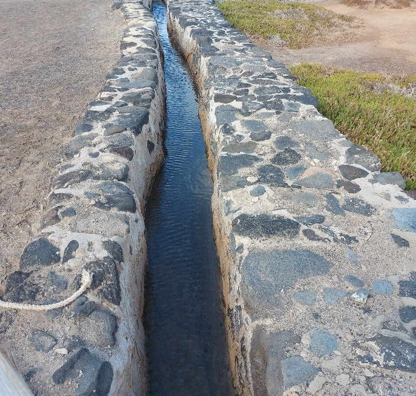 Museo de Las Salinas del Carmen景点图片