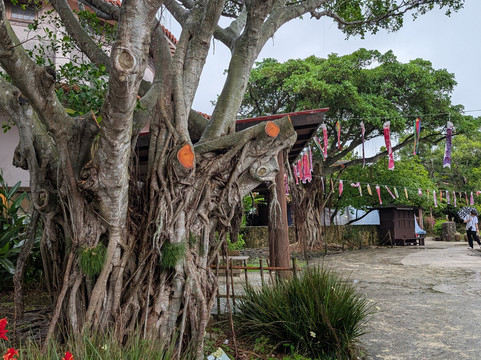 玉泉洞-南城市必去景点