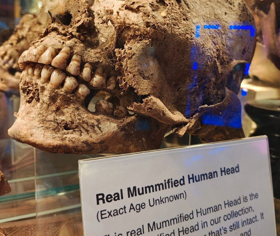 The Michigan Museum of Horror景点图片