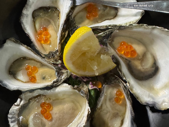 The Remington Muswellbrook主图