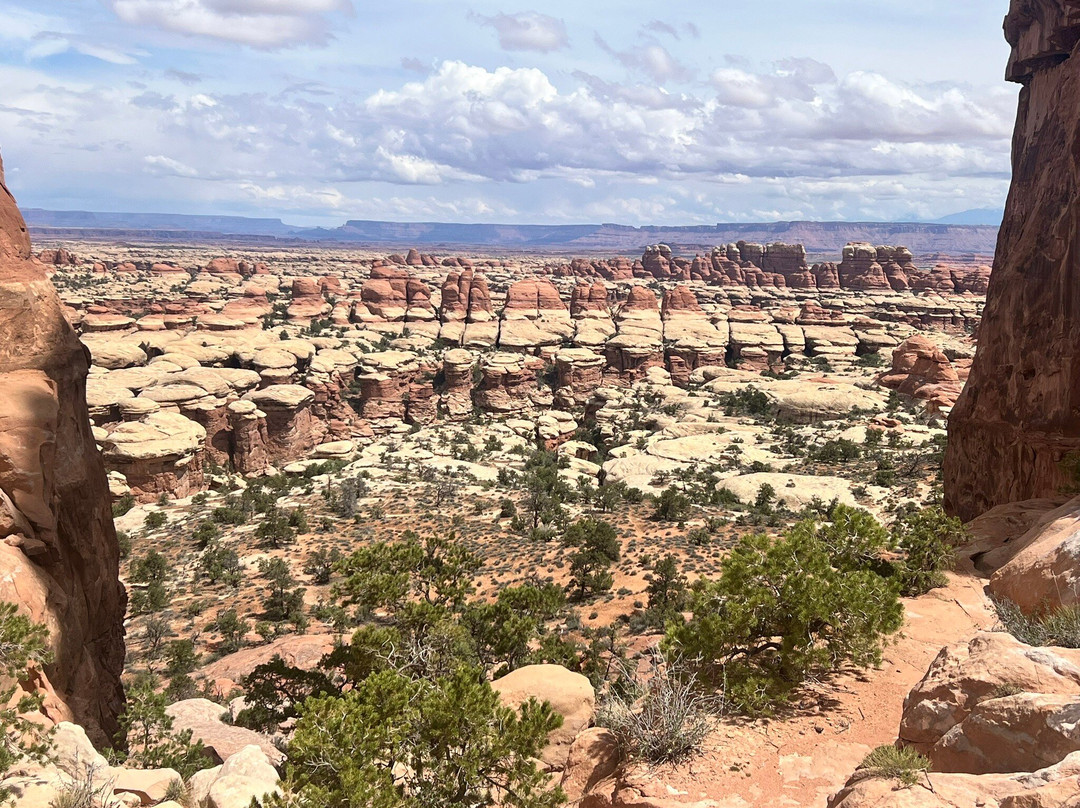 Chesler Park Loop Trail-Monticello必去景点