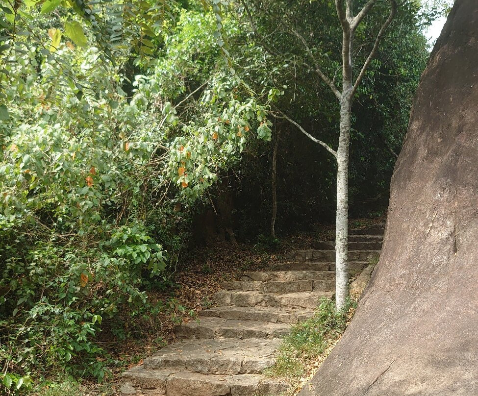 Thonigala Rock Inscriptions-Thonigala必去景点