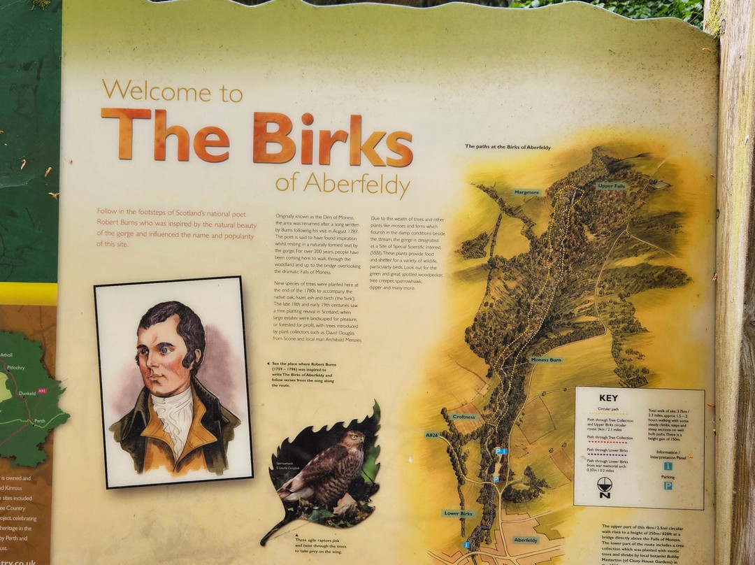 The Birks of Aberfeldy-Aberfeldy必去景点