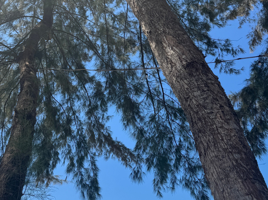 Ao Phrao-阁骨岛必去景点