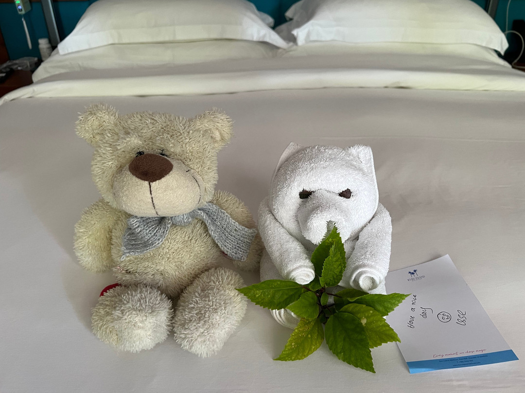 Ifuru Island Resort Maldives主图