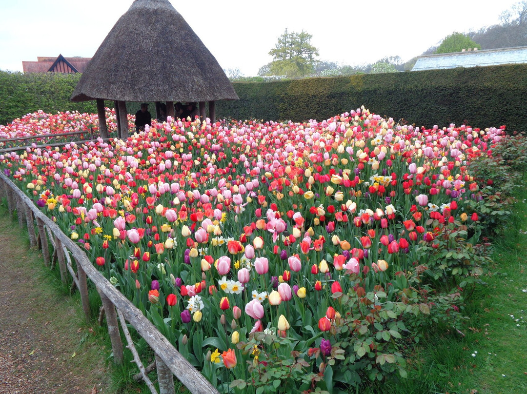 The Earl's Garden景点图片
