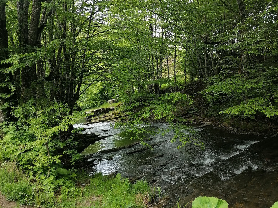 Hotel Alfaresort Chiflika主图