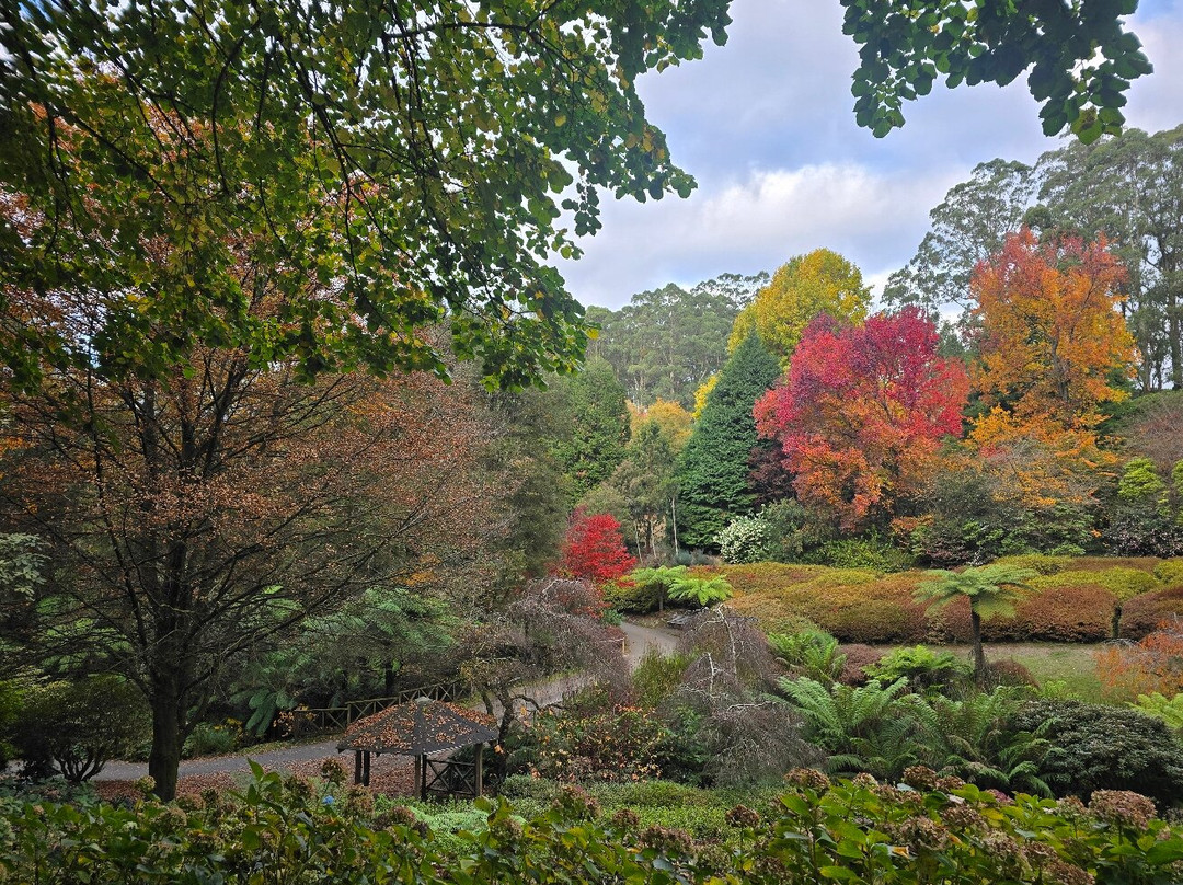Dandenong Ranges Botanic Garden-奥林达必去景点