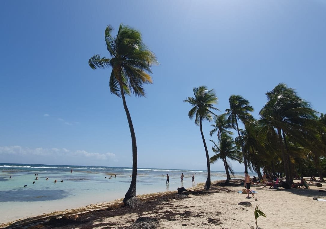 Plage de La Caravelle-Sainte-Anne必去景点