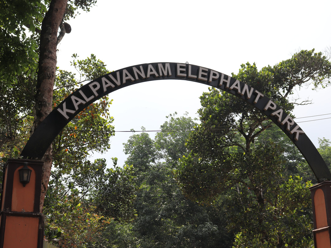 Kalpavanam Elephant Park-帖可迪必去景点