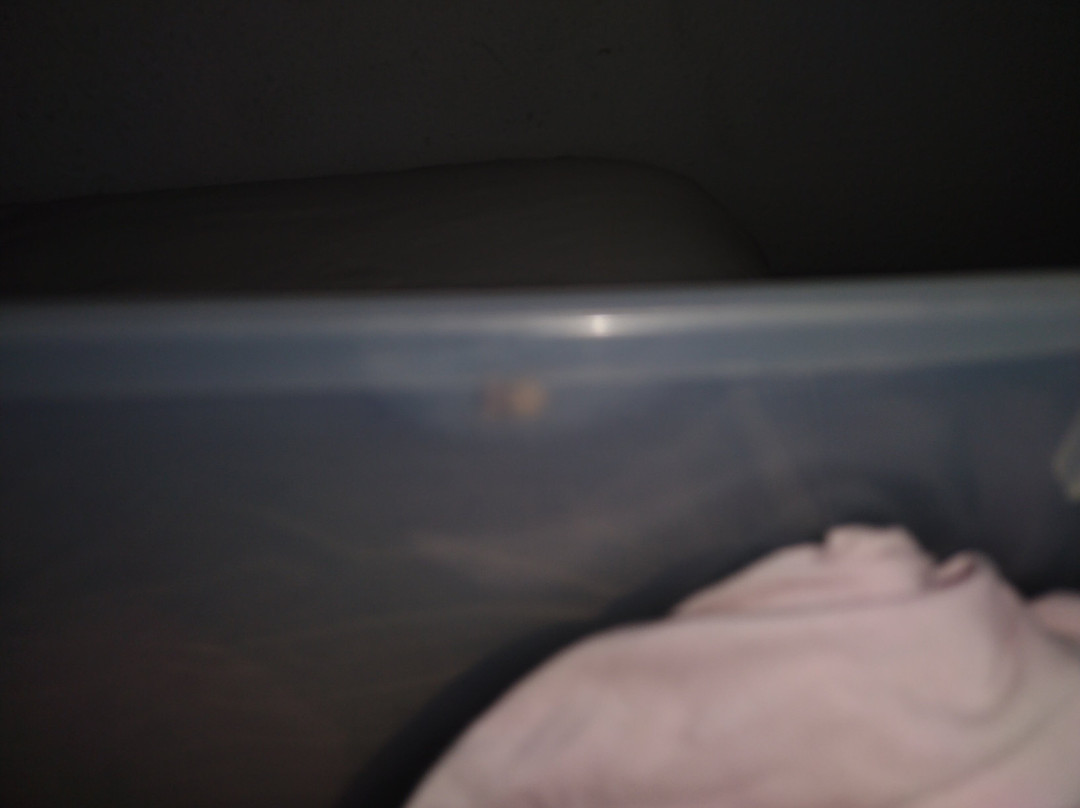 Coratel Inn and Suites By Jasper Hutchinson主图