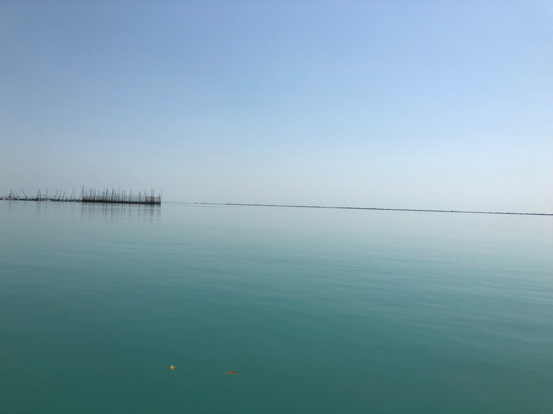 Mangrove Forests of Qeshm景点图片