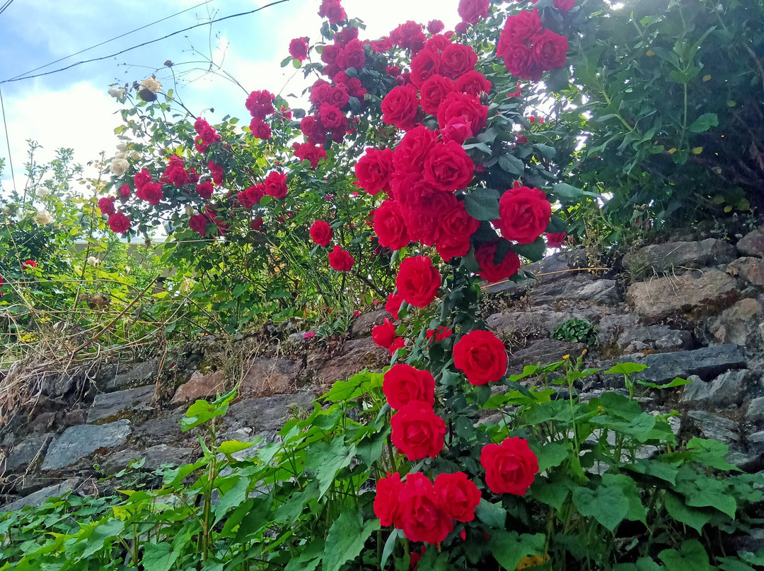 The Heritage Sarahan主图